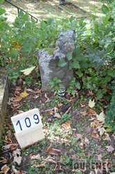 Photos of the grave 109