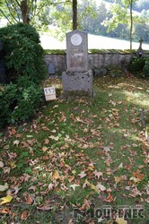 Photos of the grave 113
