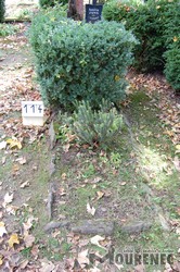 Photos of the grave 114