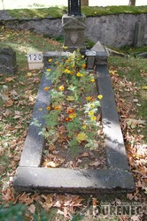 Photos of the grave 120