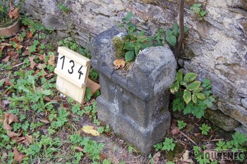 Photos of the grave 134