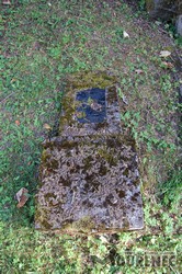Photos of the grave 139