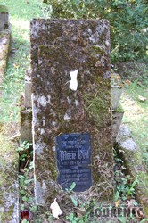 Photos of the grave 161