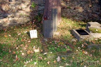 Photos of the grave 174
