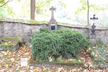 Photos of the grave 204