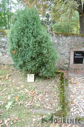 Photos of the grave 28