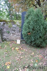 Photos of the grave 29