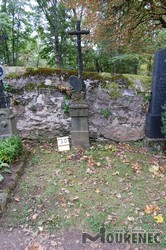 Photos of the grave 30