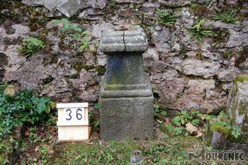 Photos of the grave 36